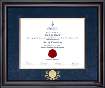 Mahogany finish diploma frame with velvet matting & custom medallion